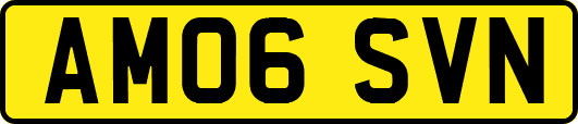 AM06SVN