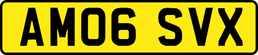 AM06SVX