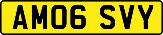 AM06SVY