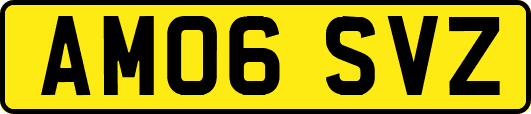 AM06SVZ