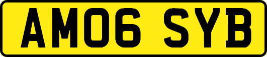 AM06SYB