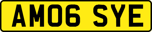 AM06SYE