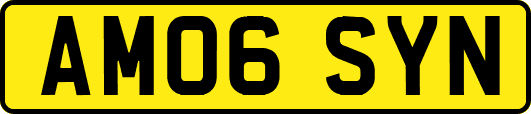 AM06SYN