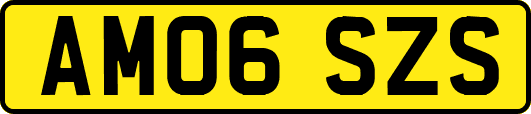 AM06SZS