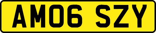 AM06SZY