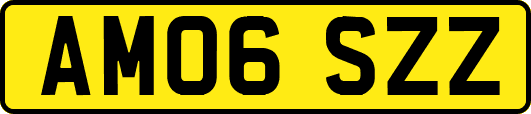 AM06SZZ