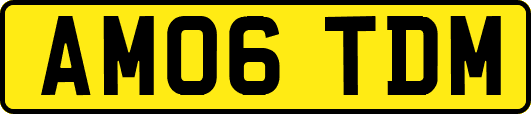 AM06TDM