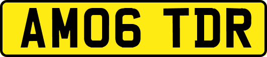AM06TDR