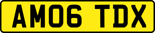 AM06TDX