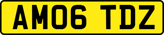 AM06TDZ