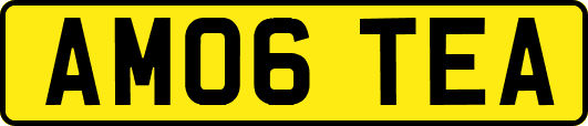 AM06TEA