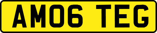 AM06TEG