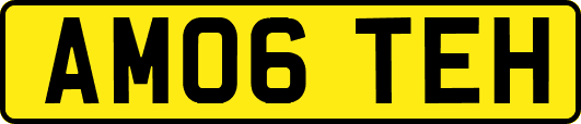 AM06TEH