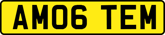 AM06TEM