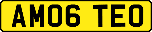 AM06TEO