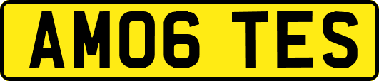 AM06TES