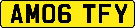 AM06TFY