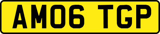 AM06TGP