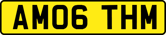 AM06THM