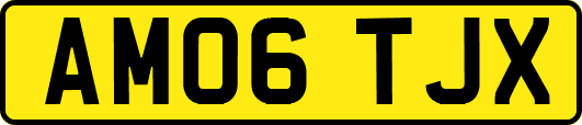AM06TJX