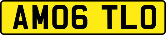 AM06TLO