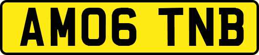 AM06TNB