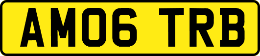 AM06TRB