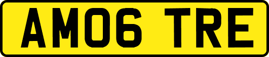 AM06TRE