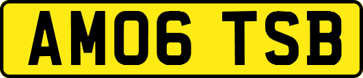 AM06TSB