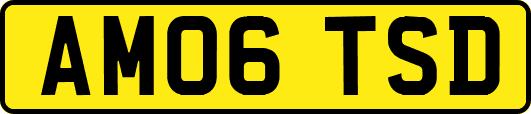 AM06TSD