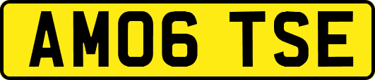 AM06TSE