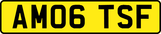AM06TSF