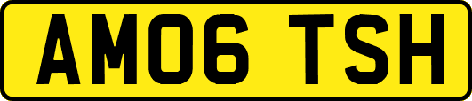 AM06TSH