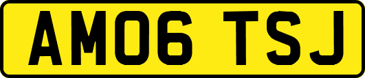 AM06TSJ