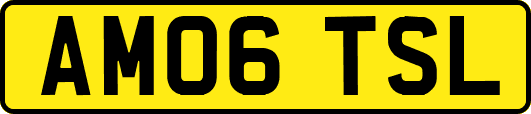 AM06TSL
