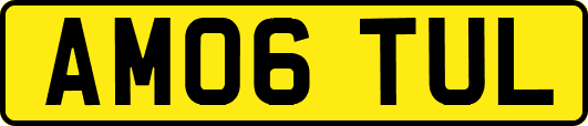 AM06TUL