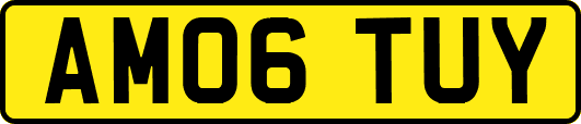 AM06TUY