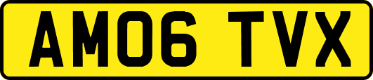 AM06TVX