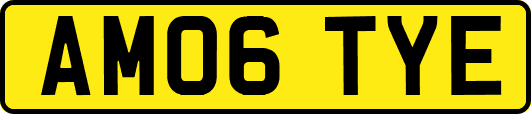 AM06TYE
