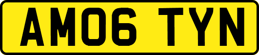 AM06TYN