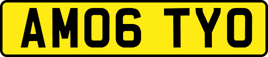 AM06TYO