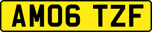 AM06TZF