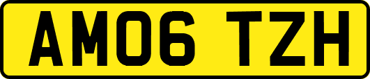 AM06TZH