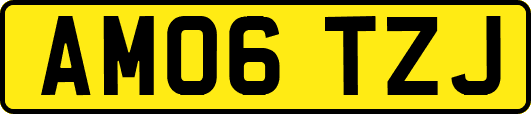 AM06TZJ