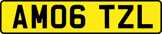 AM06TZL