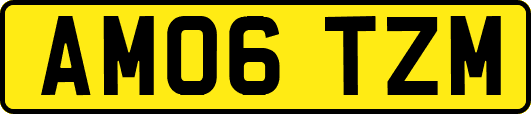 AM06TZM