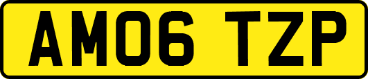 AM06TZP