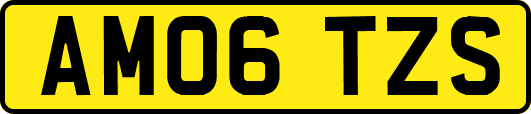 AM06TZS