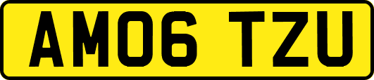 AM06TZU