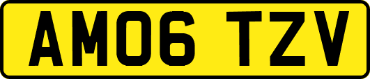 AM06TZV